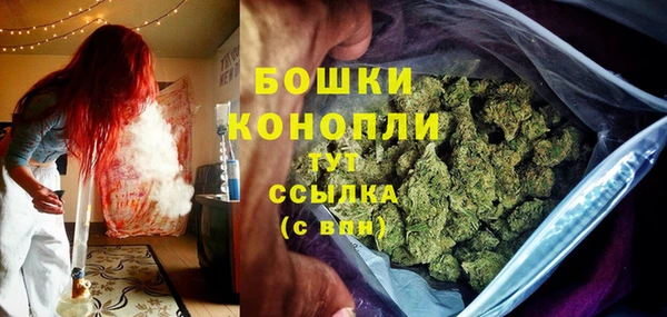 шишки Богданович