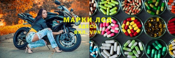 mdpv Богородицк