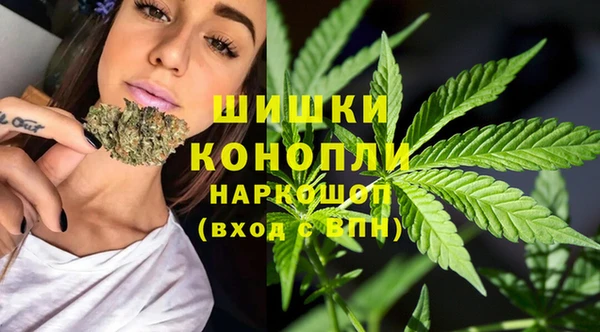 ECSTASY Богородск