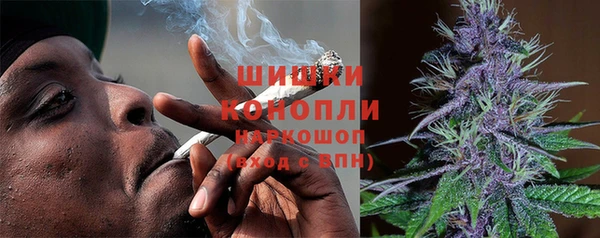 шишки Богданович
