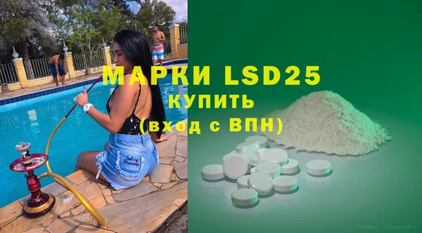 mdpv Богородицк