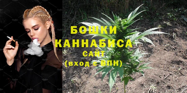 шишки Богданович
