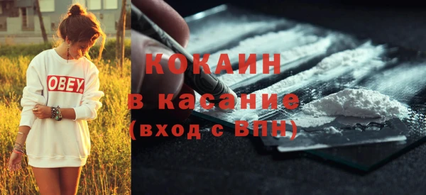 шишки Богданович