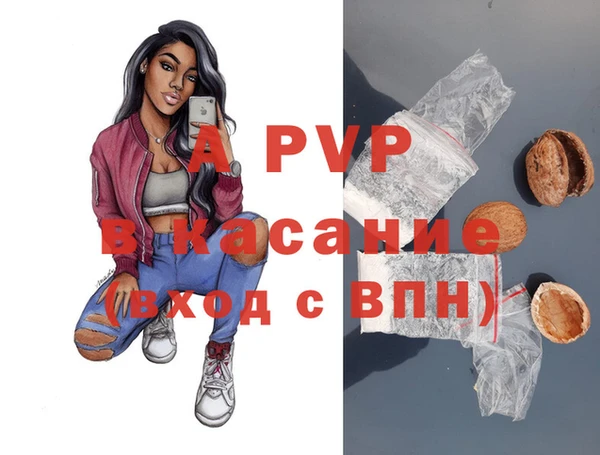 mdpv Богородицк