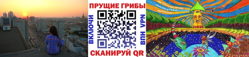 Псилоцибиновые грибы прущие грибы  Ярославль 